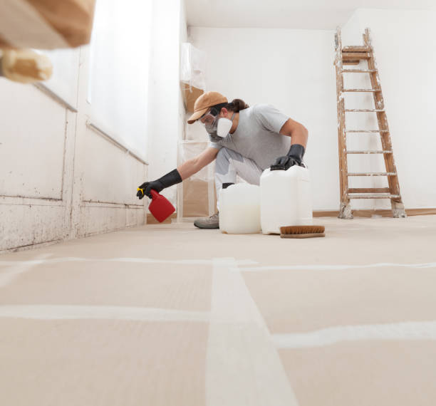 Port Dickinson, NY Mold Removal Company